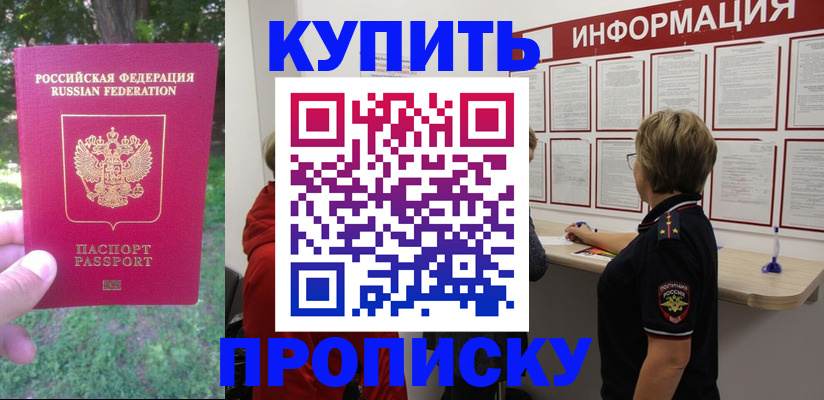 временная регистрация надежно в Камчатской области